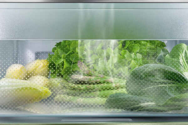 Chłodziarka do zabudowy Liebherr IRBbsci 5170 Peak BioFresh